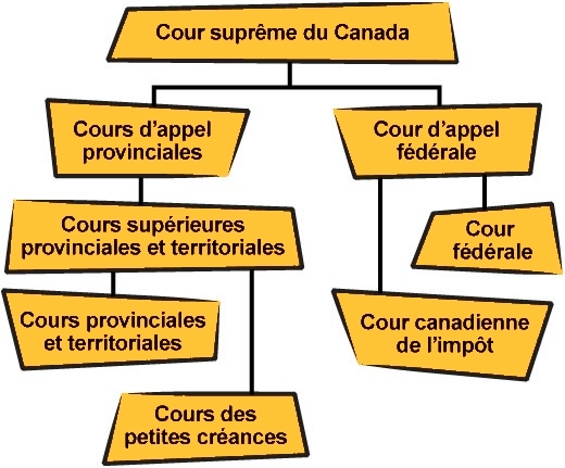 Organigramme