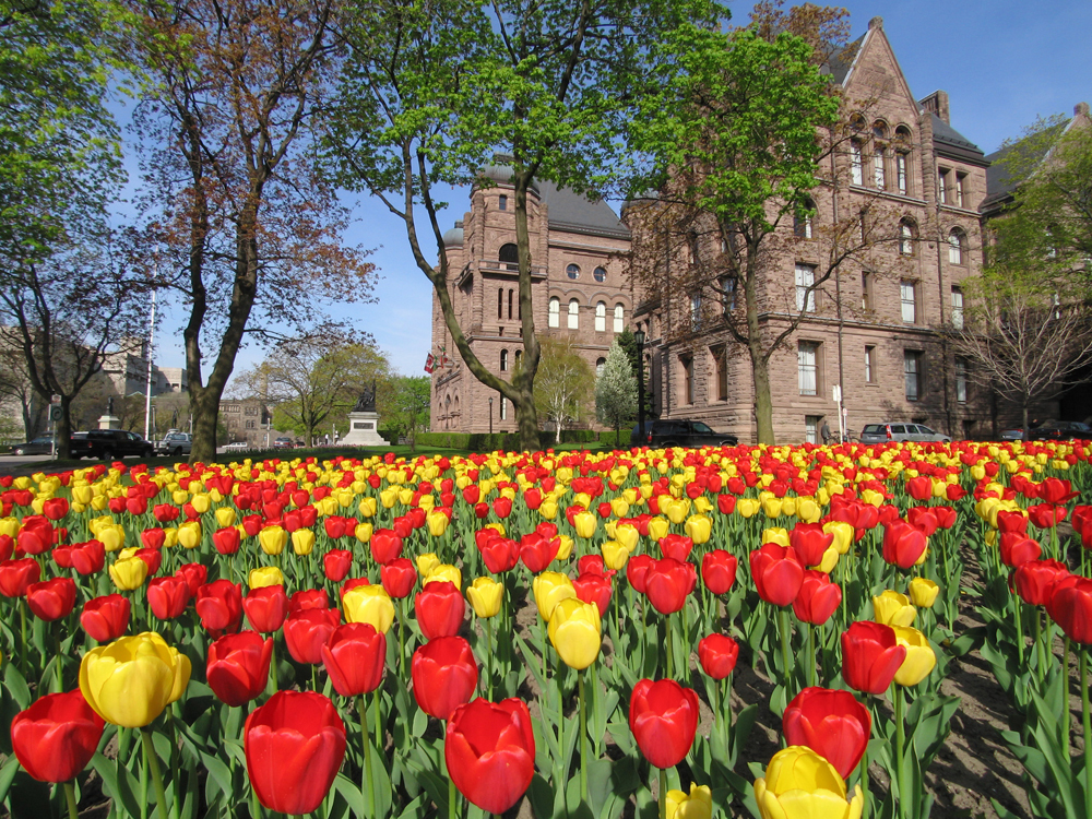 Media Name: shutterstock_143488255.jpg