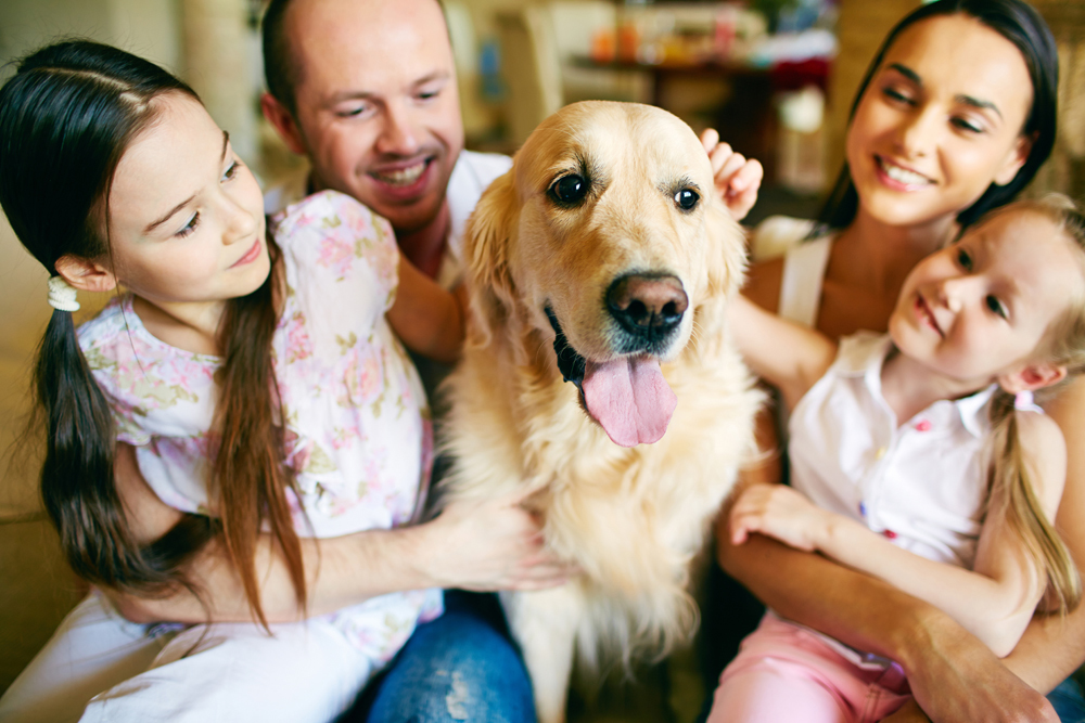 Media Name: shutterstock_196619114.jpg
