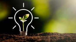 Environnement écologique et durable © Proxima studio | Adobe Stock 