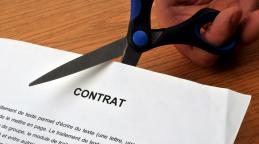 Media Name: AdobeStock_180007300.jpeg