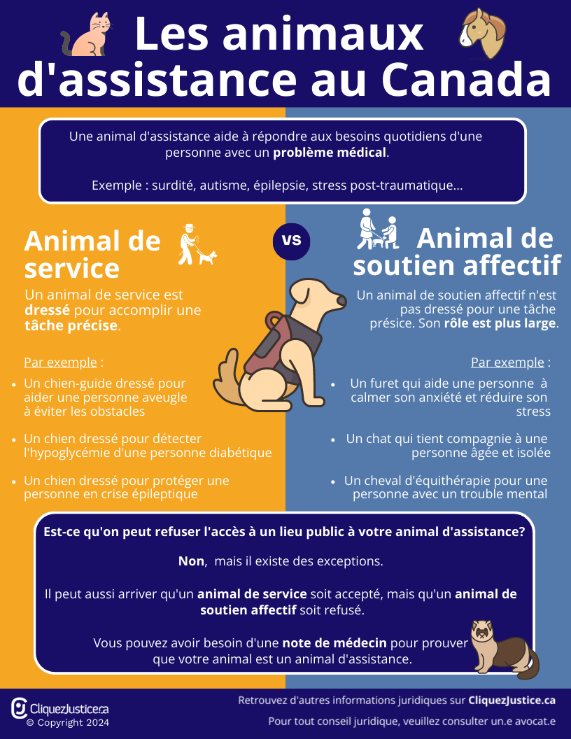 Les animaux d'assistance au Canada