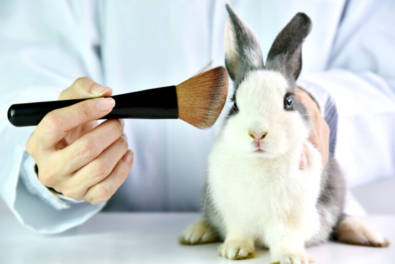 ​​Les tests cosmétiques sur les animaux au Canada, c’est terminé!​