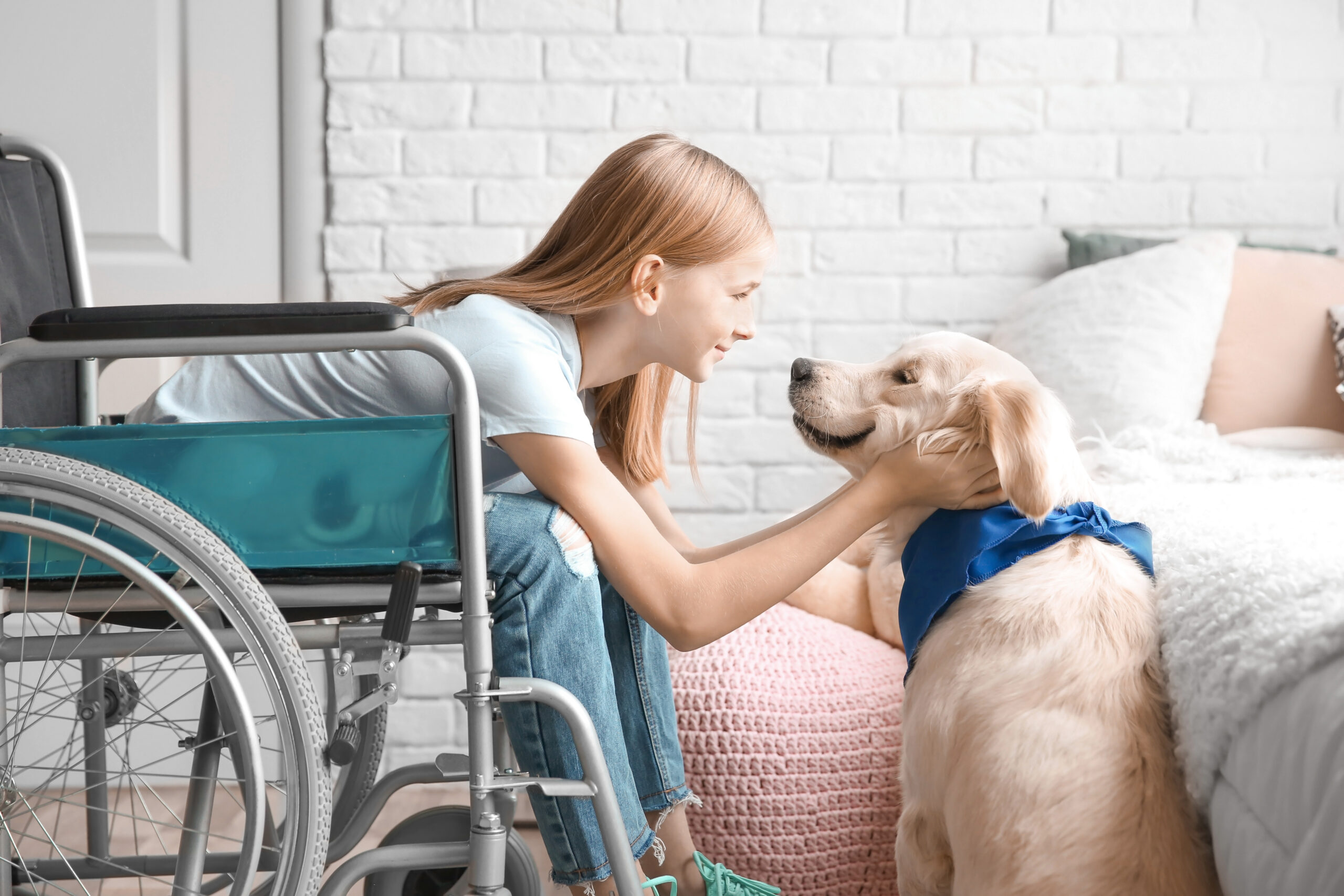 Jeune fille en chaise roulante avec un chien de service