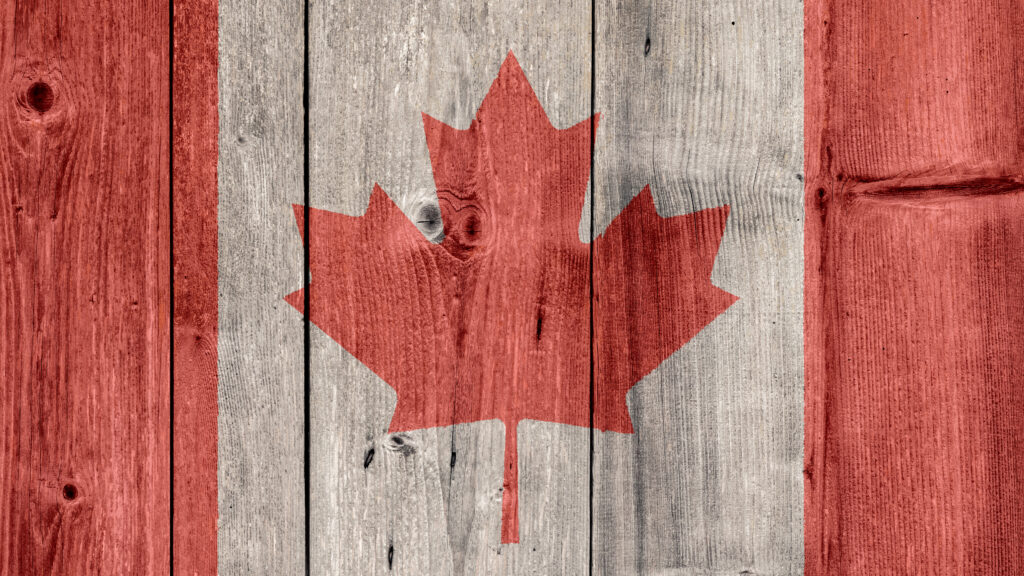 Citoyens, à vos votes! 4 choses à savoir sur les élections au Canada