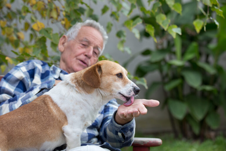Les animaux d'assistance au Canada
