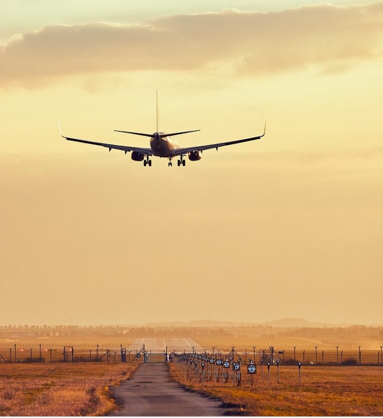 Droit de l'immigration