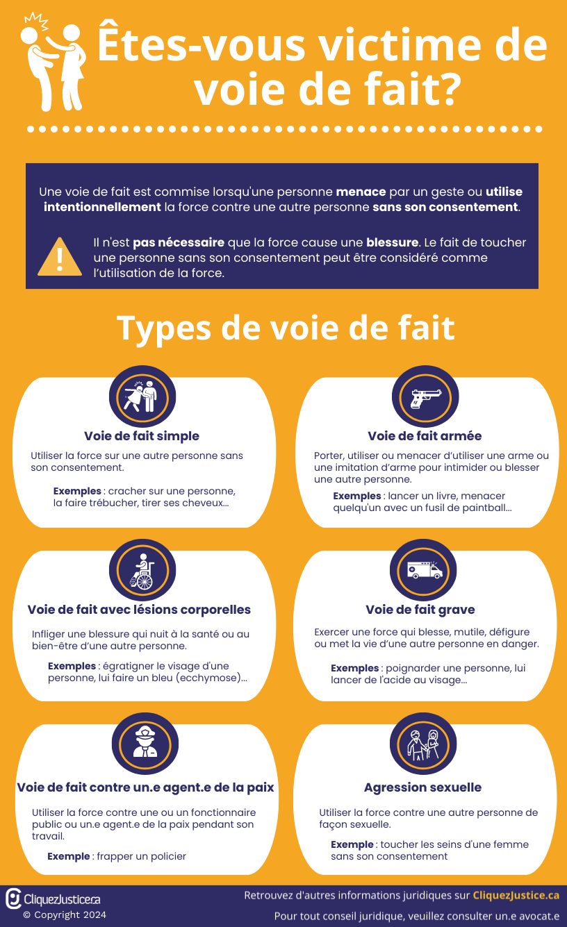 Types de voie de fait
